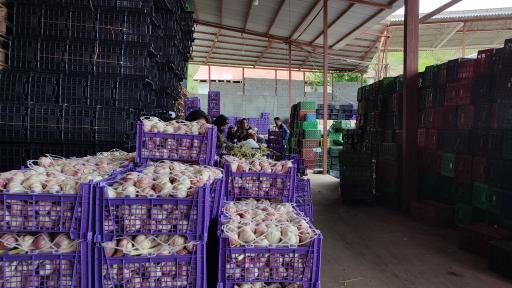 عکس بازرگانی و سردخانه قاسم امینی 