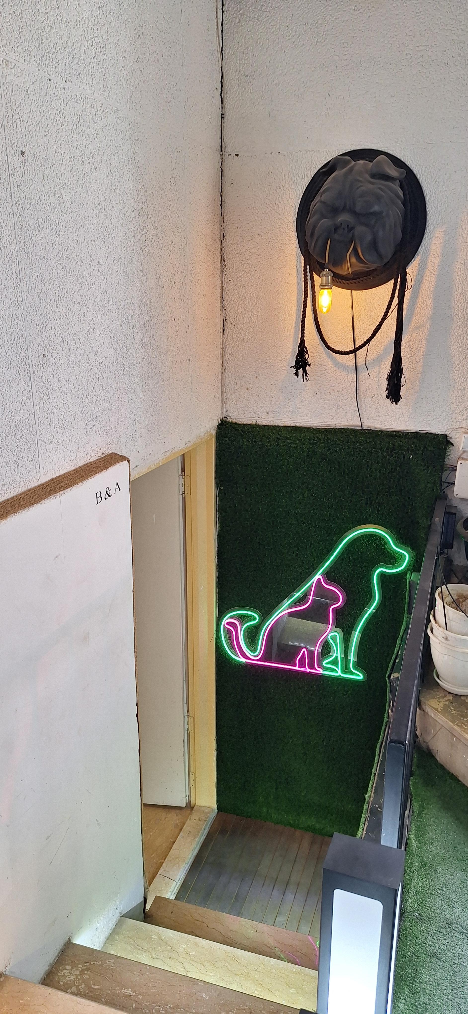 عکس پت شاپ B&A