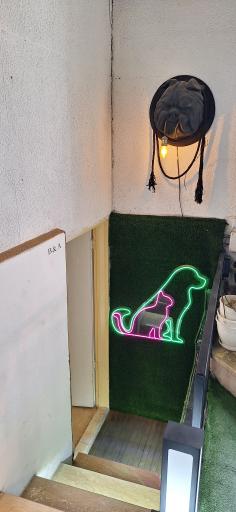 عکس پت شاپ B&A