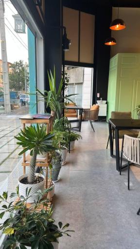 عکس کافه لیدز 