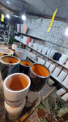 عکس Mr.flower آقای گل