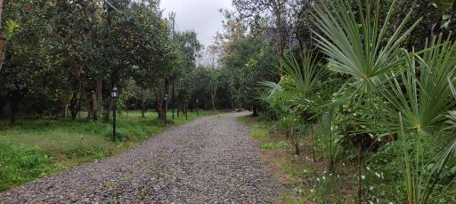 عکس کلبه چوبی باغ پرتقال