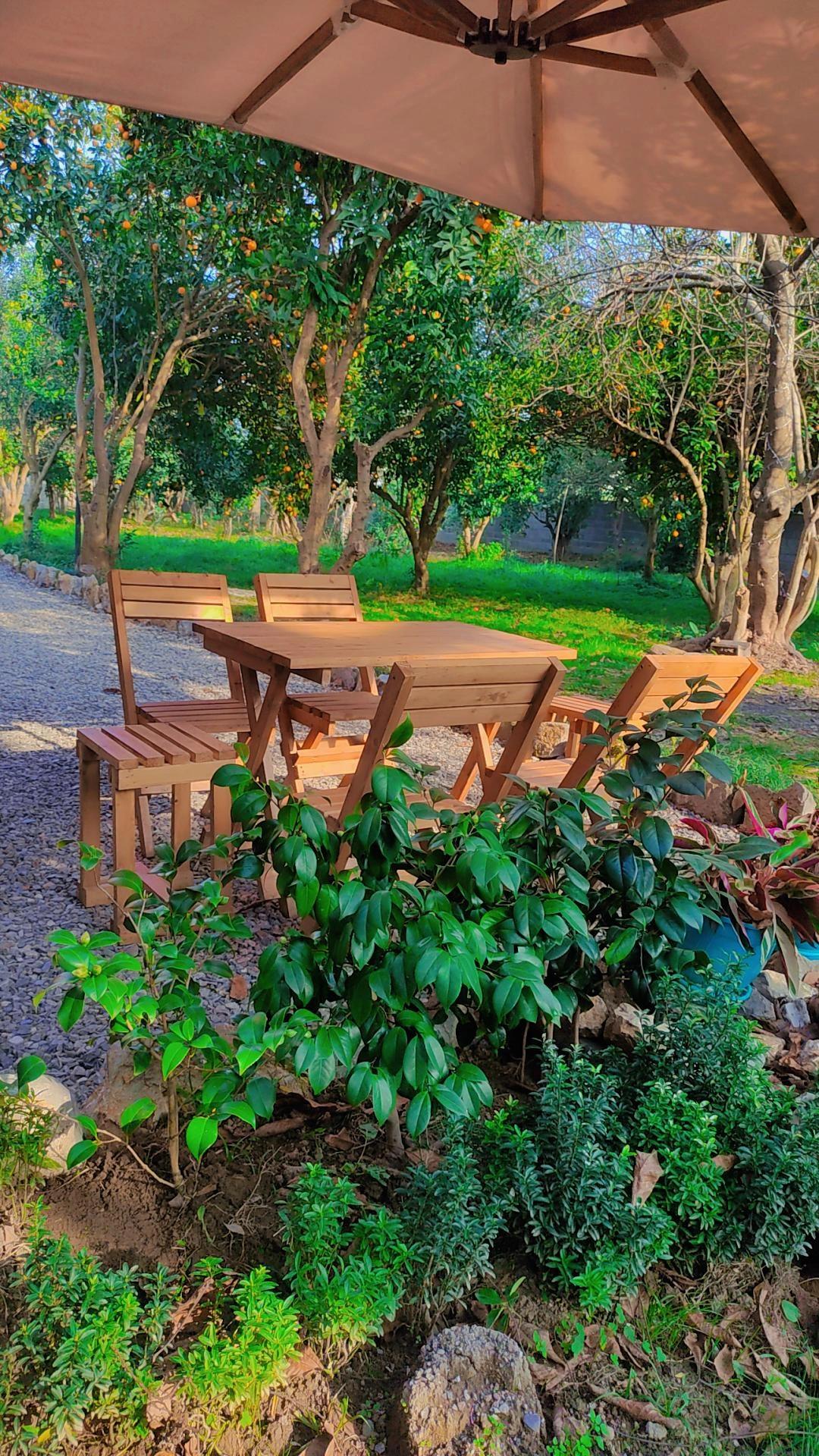 عکس کلبه چوبی باغ پرتقال
