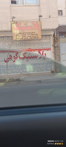 عکس پلاسکو کوهی