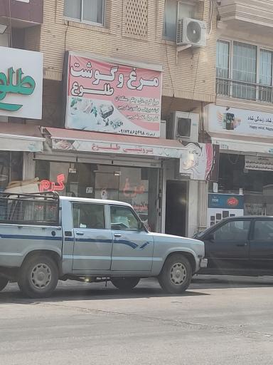 عکس مرغ و گوشت طلوع 