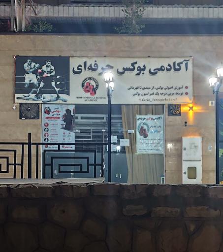 عکس آکادمی بوکس حرفه ای