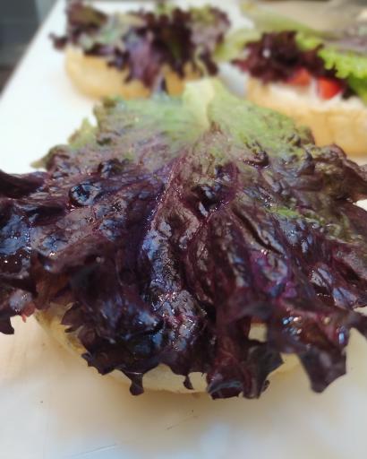 عکس این برگر