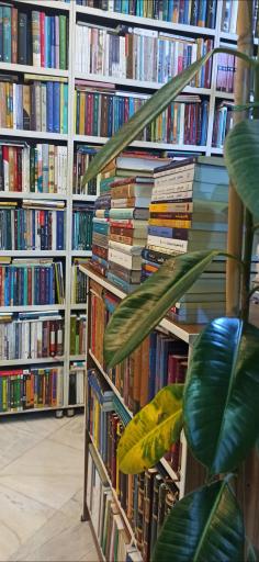 عکس کتاب فروشی شهر