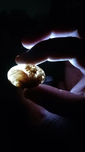 عکس گوهر تراشی درویش