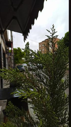 عکس کافه فور یو