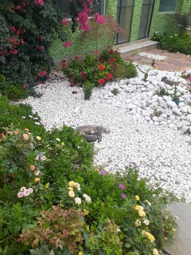 عکس کافه ی آیدا