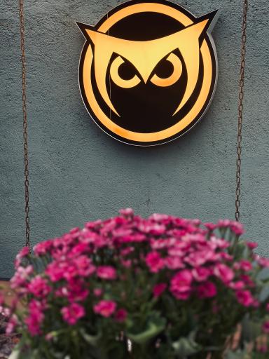 عکس کافه ی آیدا