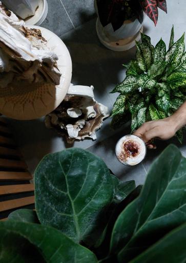 عکس کافه ی آیدا