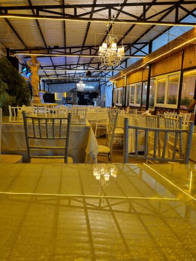 عکس باغچه مینو 