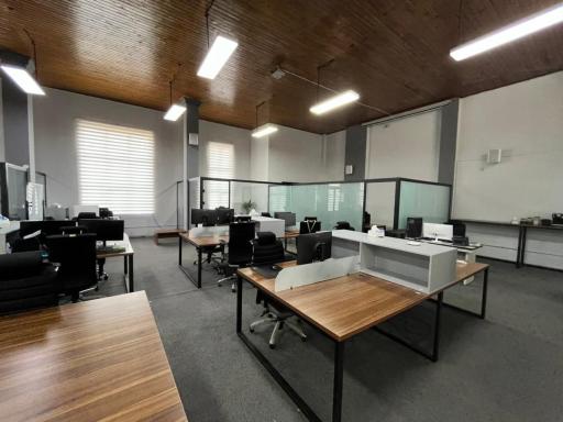 عکس شرکت چوب فروش