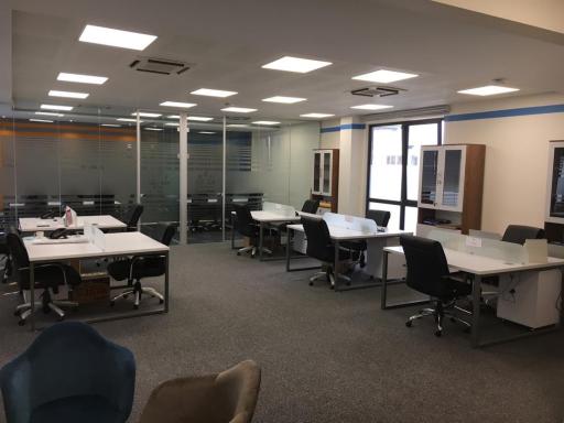 عکس شرکت چوب فروش