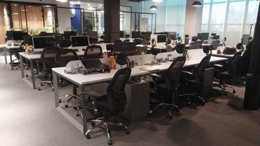 عکس شرکت چوب فروش