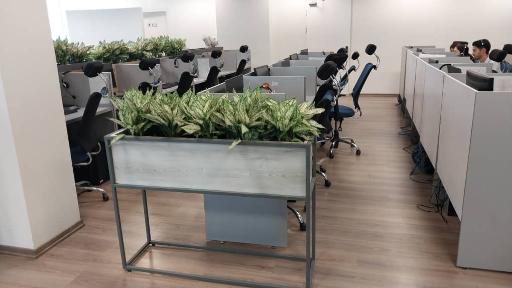 شرکت چوب فروش