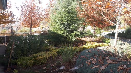 عکس پارک بهارستان