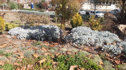 عکس پارک بهارستان