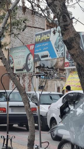 عکس کارواش VIP