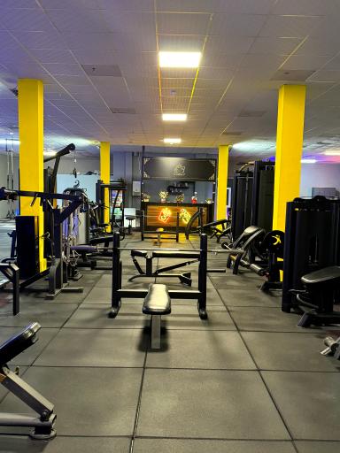 عکس باشگاه بدنسازی اسکات