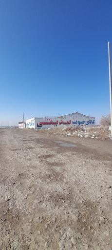 عکس کالای چوب صدیقی