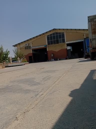 عکس فرآوری تخمه و آجیل چیت ناب