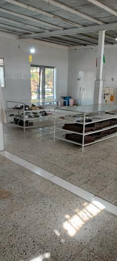 کارگاه تولیدی کیک و کلوچه مساحی