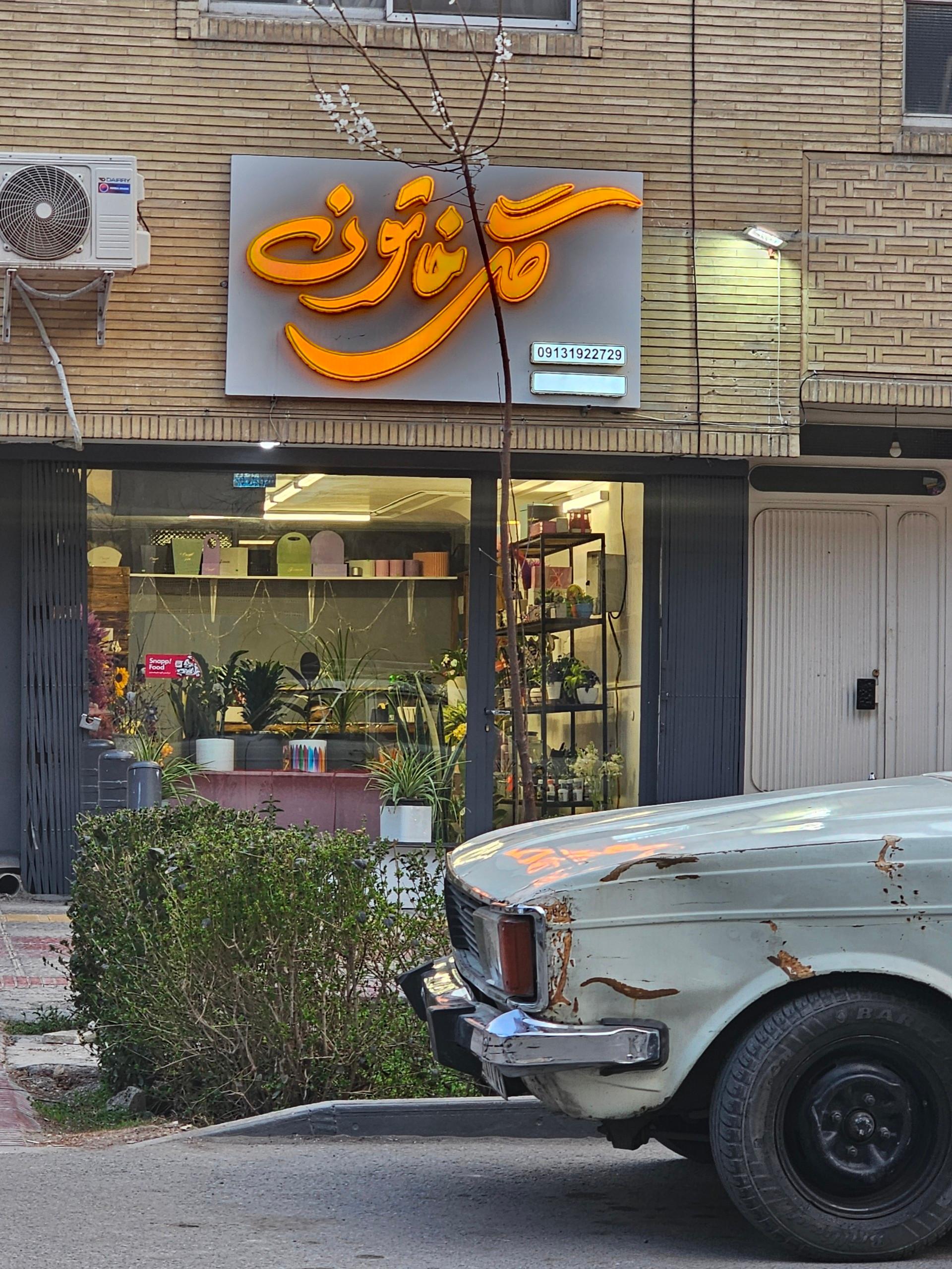 عکس گل خاتون