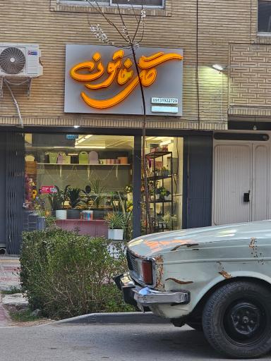 عکس گل خاتون