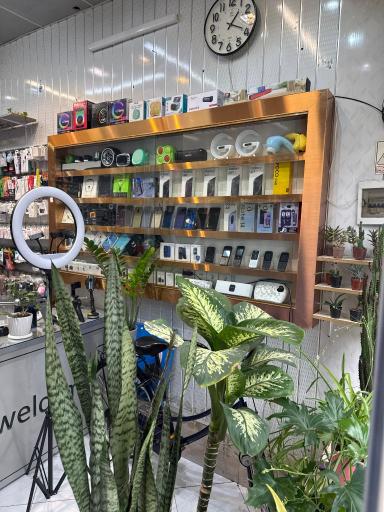 عکس موبایل گنابادی