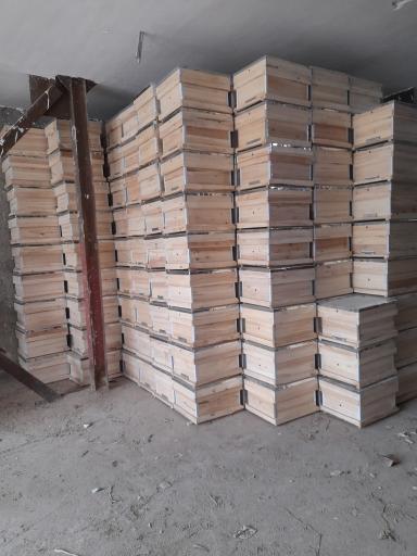 عکس عاج موم نورانی