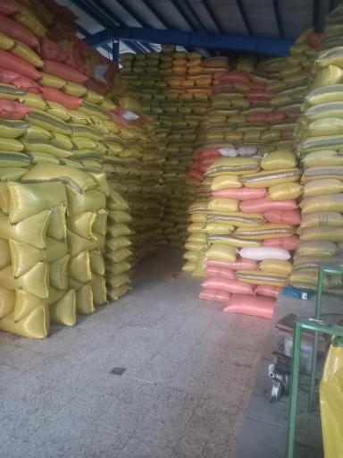 عکس فرآوری تخمه و آجیل چیت ناب