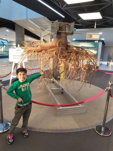 عکس باغ علم نوجوان