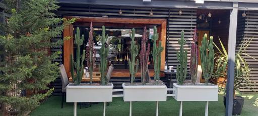 عکس کافه رستوران میامی