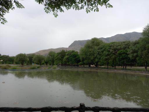 عکس دریاچه ماهی زیبا کنار