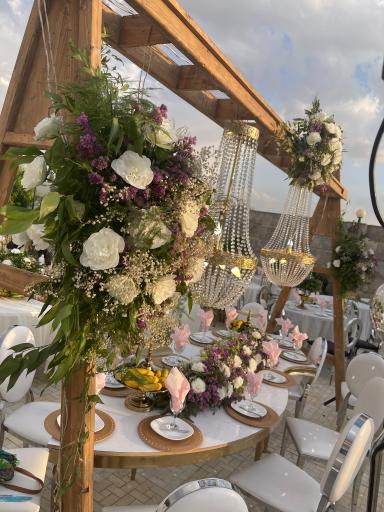 عکس باغ تالار رولکس 