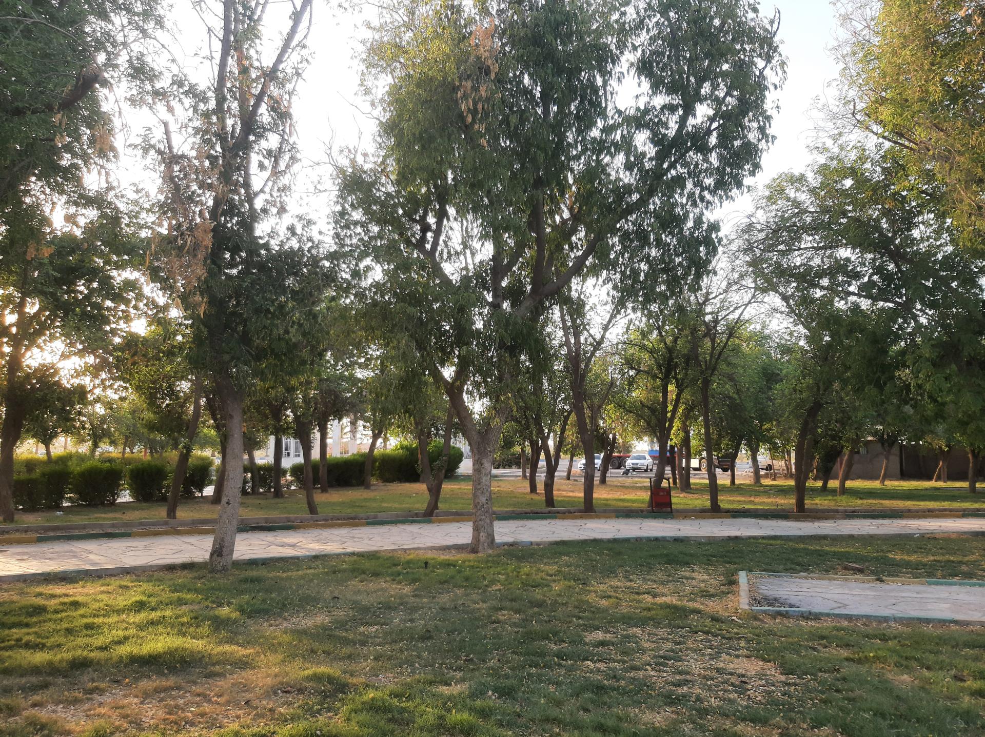 عکس پارک نرگس