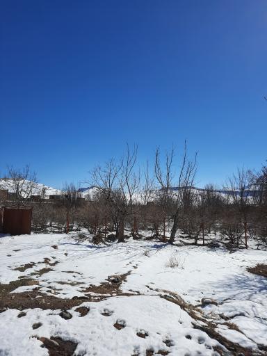 عکس حسنارود