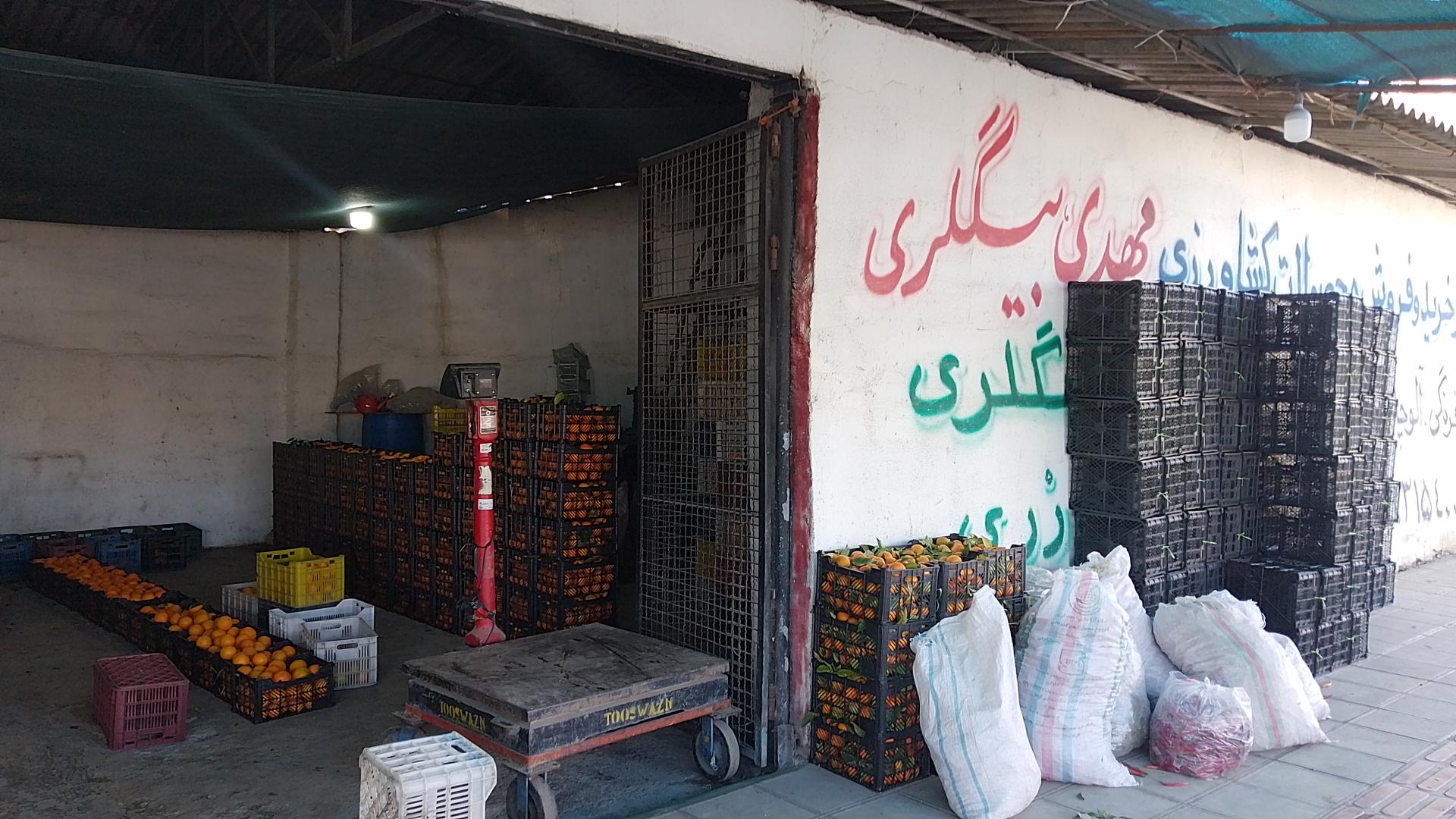 عکس خرید و فروش میوه مهدی بیگلری