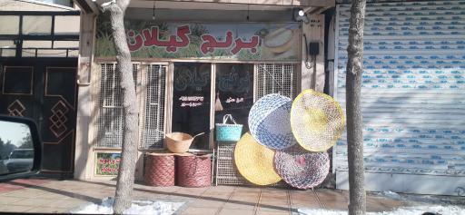 عکس برنج گیلان