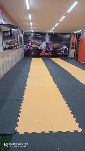 عکس باشگاه رزمی ونوم