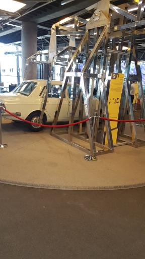 عکس باغ علم نوجوان