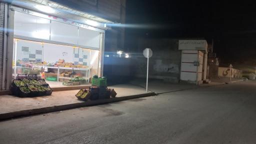 عکس میوه ارزان نوبهار 