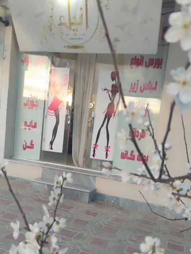 عکس لباس زیر آنیل علویجه