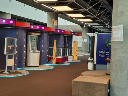 عکس باغ علم نوجوان