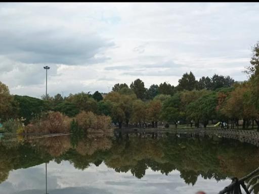 عکس دریاچه ماهی زیبا کنار