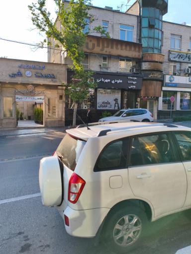 عکس پت شاپ ملودی مهربانی
