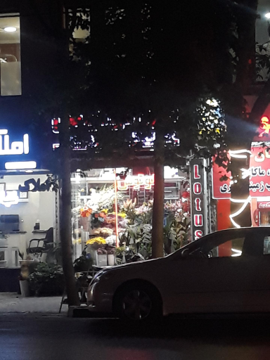 گل لوتوس
